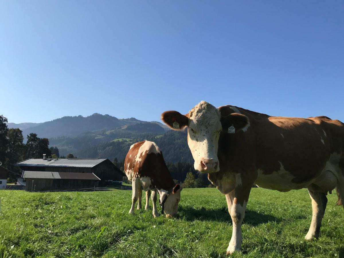 Hof Oberhaus Villa Kitzbühel Exteriör bild